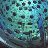 The target chamber inside which NIF