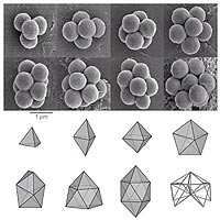 When compressed by a liquid droplet, small groups of colloidal microspheres -- plastic spheres with diameters about one one-hundredth that of a human hair -- pack to form an unusual sequence of structures. At top are packings containing four to eleven spheres, as seen through the scanning electron microscope. At bottom are the polyhedra defined by drawing lines between the centers of touching spheres in each cluster. Some of these polyhedra are familiar structures, such as the tetrahedron (4 spheres) and octahedron (6 spheres), but most of the others -- including the 