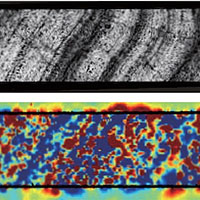 <p>
	A slice of ferromanganese crust from the Pacific Ocean was analyzed using a SQUID microscope at Vanderbilt University. The top image shows a portion of the image of the slice taken with an electron microprobe. The second image shows the magnetized regions in the slice, with red areas showing one direction of magnetization and blue the opposite direction.</p>
<p>
	Images courtesy of Ben Weiss</p>
