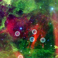 This infrared image from NASA's Spitzer Space Telescope shows the Rosette nebula, a pretty star-forming region more than 5,000 light-years away in the constellation Monoceros. In optical light, the nebula looks like a rosebud, or the 'rosette' adornments that date back to antiquity.<br /><br />But lurking inside this delicate cosmic rosebud are so-called planetary 'danger zones' (see sphere illustrations). These zones surround super hot stars, called O-stars (blue stars inside spheres), which give off intense winds and radiation. Young, cooler stars that just happen to reside within one of these zones are in danger of having their dusty planet-forming materials stripped away.<br /><br />While O-star danger zones were known about before, their parameters were not. Astronomers used Spitzer's infrared vision to survey the extent of the five danger zones shown here. The results showed that young stars lying beyond 1.6 light-years, or 10 trillion miles, of any O-stars are safe, while young stars within this zone are likely to have their potential planets blasted into space.<br /><br />Radiation and winds from the super hot stars have collectively blown layers of dust (green) and gas away, revealing the cavity of cooler dust (red). The largest two blue stars in this picture are in the foreground, and not in the nebula itself.<br /><br />This image shows infrared light captured by Spitzer's infrared array camera. Light with wavelengths of 24 microns is red; light of 8 microns is green; and light of 4.5 microns is blue.<br /><br />Image credit: NASA/JPL-Caltech/Univ.of Ariz.