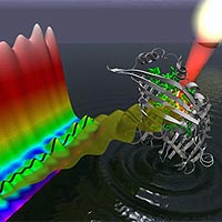 Sunlight absorbed by bacteriochlorophyll (green) within the FMO protein (gray) generates a wavelike motion of excitation energy whose quantum mechanical properties can be mapped through the use of two-dimensional electronic spectroscopy. (Image courtesy of Greg Engel, Lawrence Berkeley National Laboratory, Physical Biociences Division)