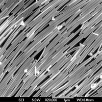 Scanning electron microscope image of silver nanowires aligned like logs on a river and deposited on a silicon wafer. The thin layer of packed nanowires provides a good surface for chemical sensing with Raman spectroscopy. (Peidong Yang/UC Berkeley)
