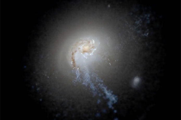 <p>A simulated galaxy image from the FIRE-2 project, representing a structure spanning more than 200,000 light years, shows the prominent plumes of young blue stars born in gas that was originally rotating and then blown radially outward by supernova explosions. Courtesy of Sijie Yu / UCI</p>
