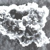 A speck from a comet? Displayed in a close-up under an electron microscope, this tiny bit ofcosmic dust may be our first sample of a passing comet. Less than one-tenth of a millimeter across, the particle is composed of millions ofeven tinier crystals.: Image Courtesy NASA